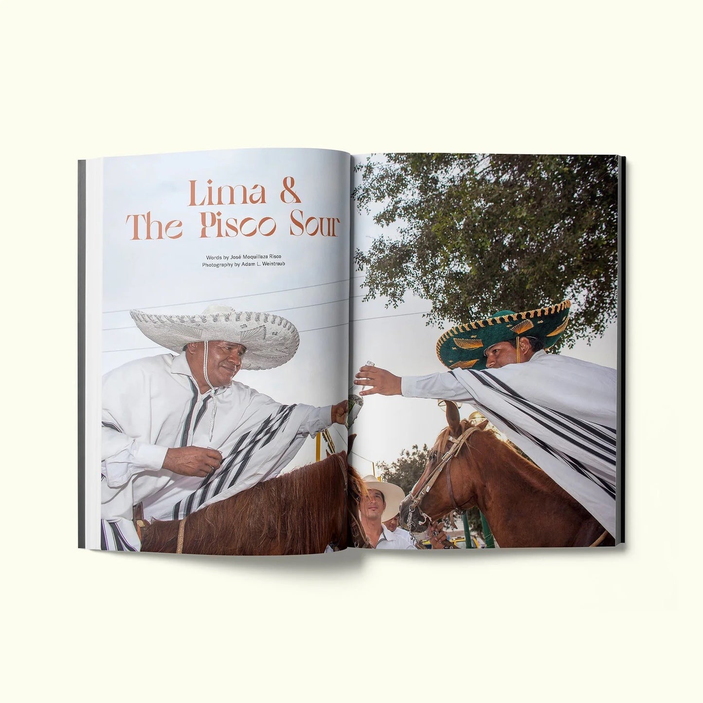 Issue 8: Lima