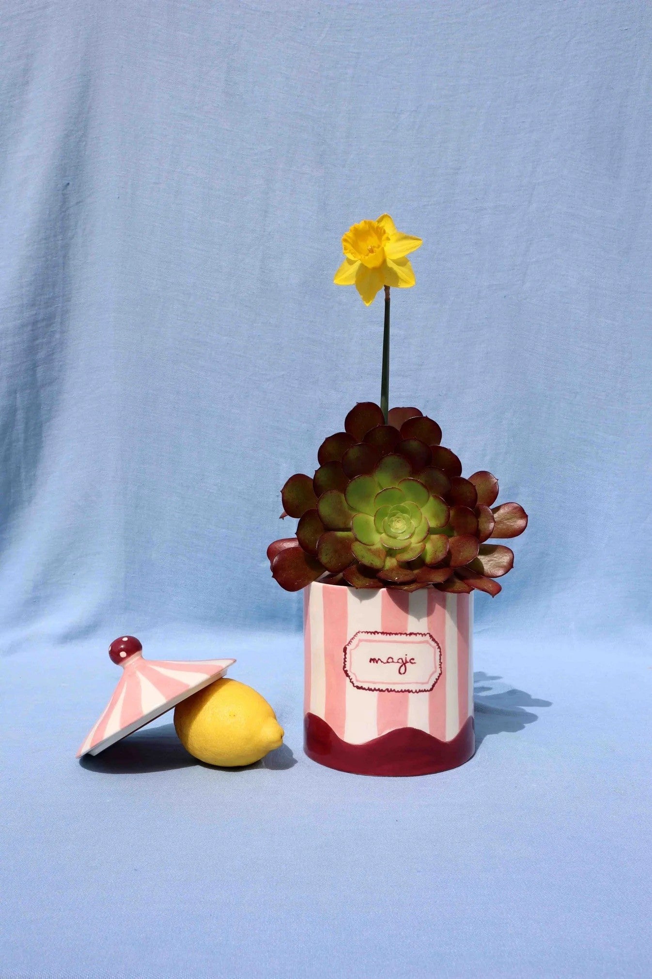 Magic Box - Pink & Burgundy