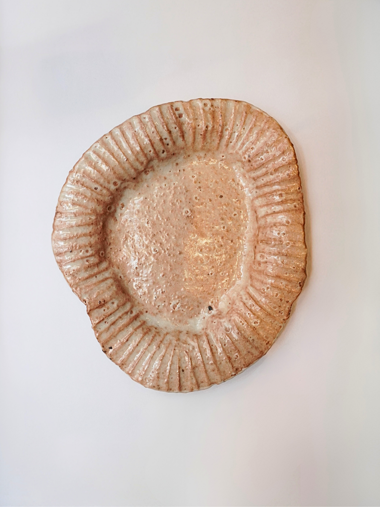 Medium Plate No. 6