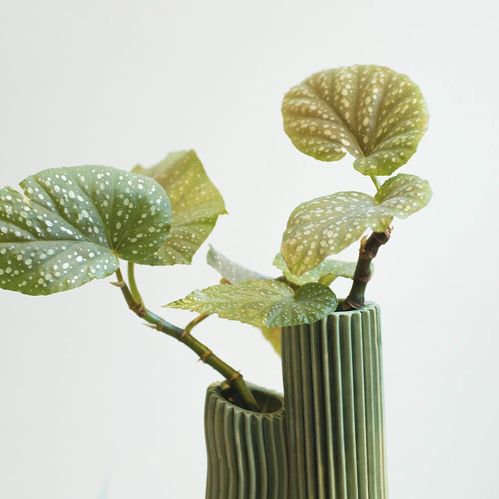 Tulumba Vase - Dark green