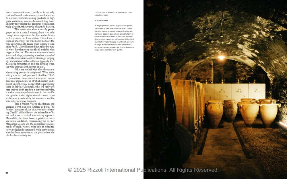Spilled - Stories and Recipes from Natural Winemakers