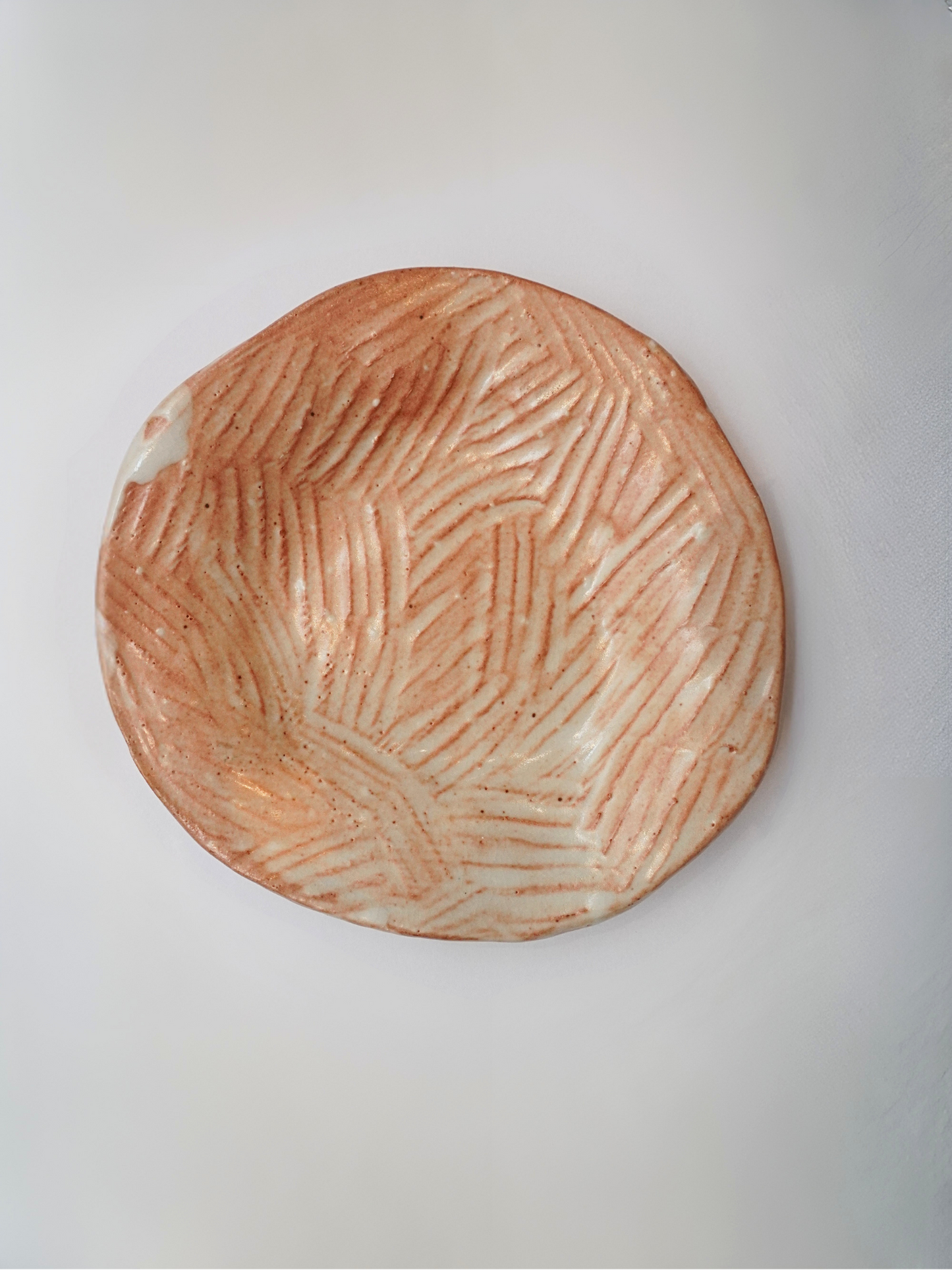 Medium Plate No. 23