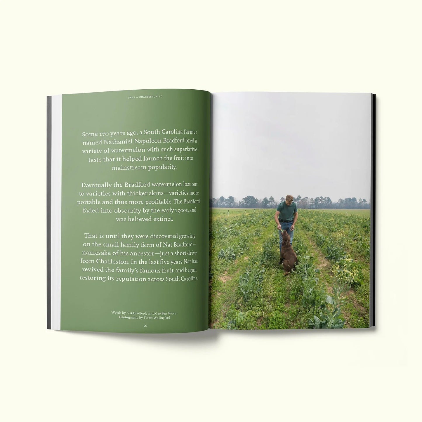 Issue 3: Charleston