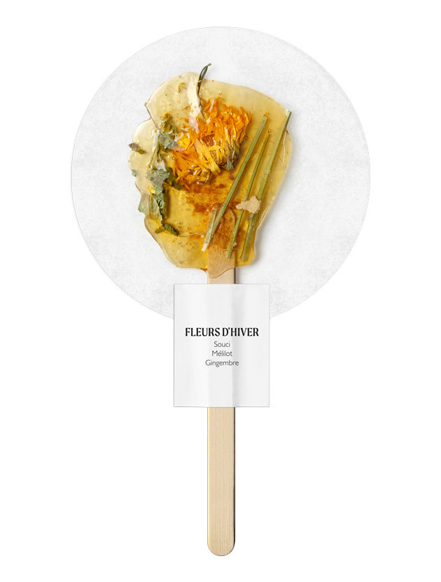 Calendula Sweet Clover Ginger