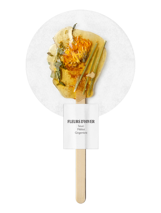 Calendula Sweet Clover Ginger