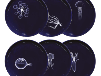 Variation #1972 of Large plate – Abyss
