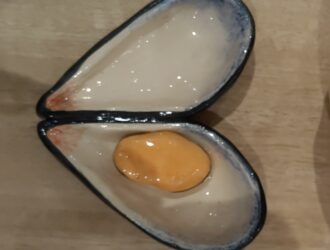 Mussel